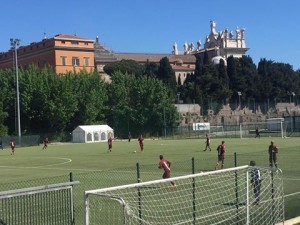 Torino romulea